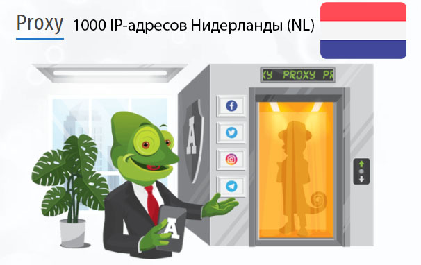 Стоимость 1000 пакетных прокси Нидерланды (NL)